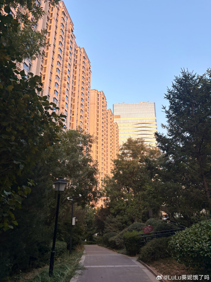 守得云开见天明