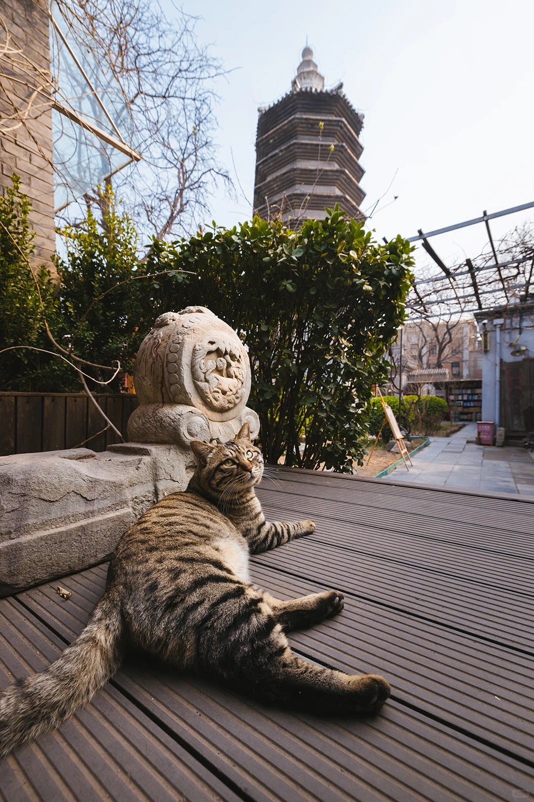万松老人塔下，有只小砖不务正业