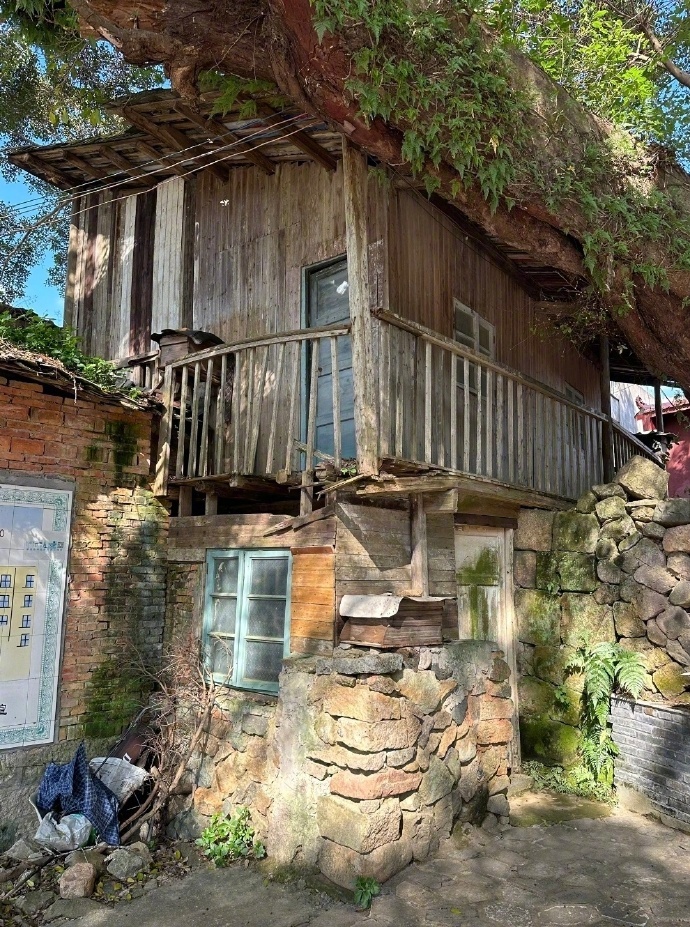 躲进小楼成一统，管他冬夏与春秋  ... ​​​