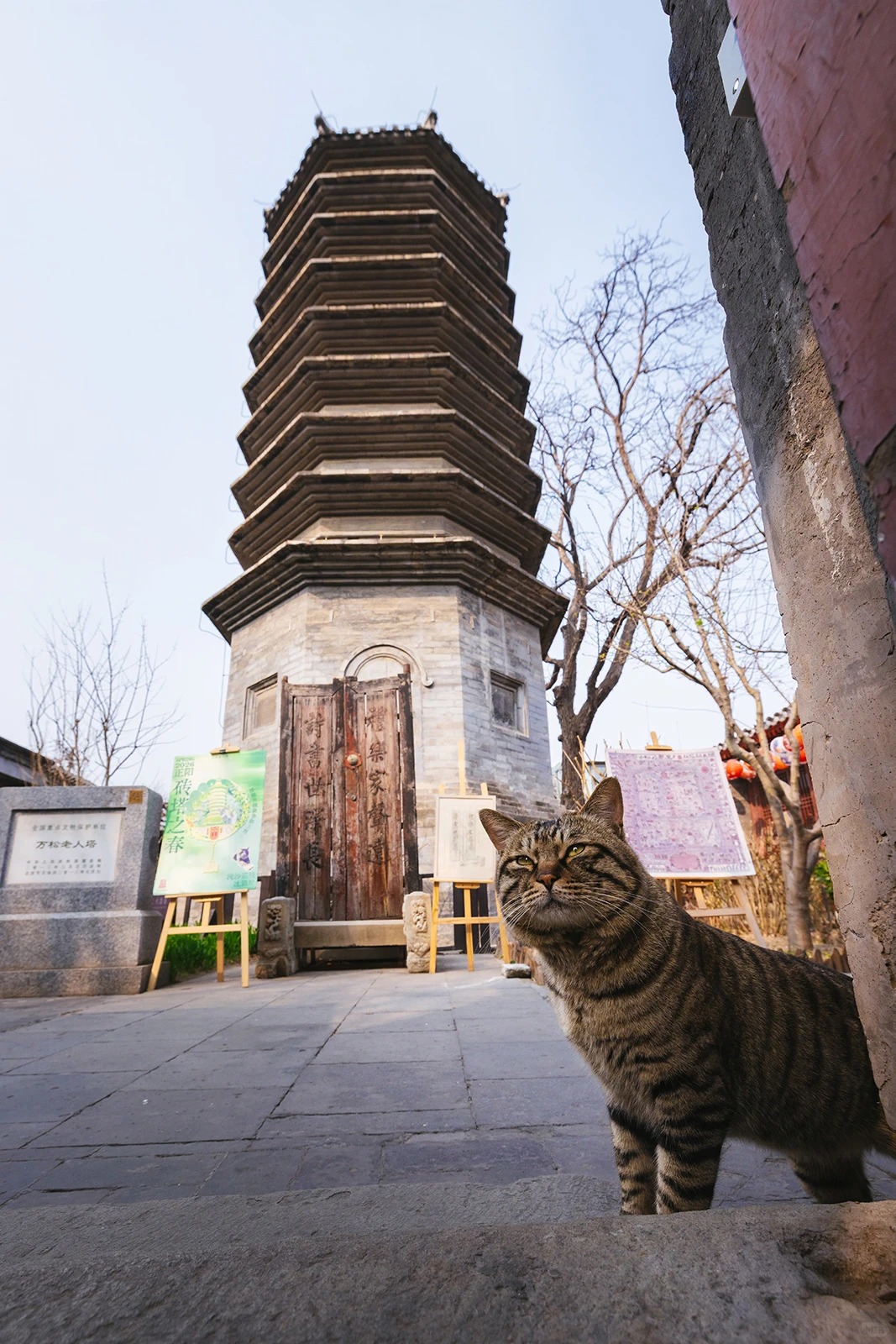 万松老人塔下，有只小砖不务正业